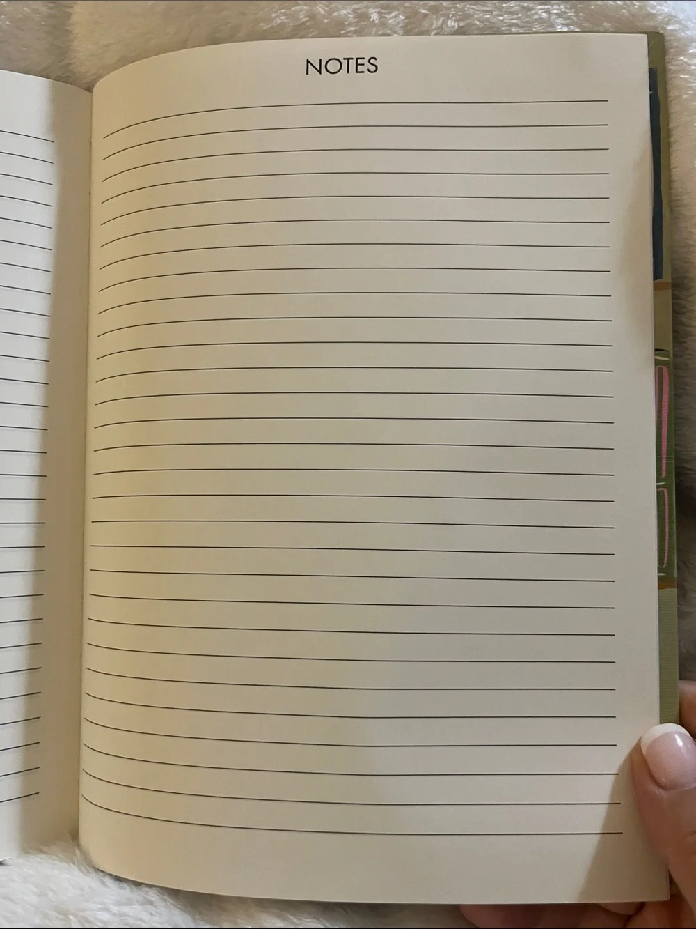 Molly & Rex Olive Floral Bookshelf Monthly & Weekly Planner